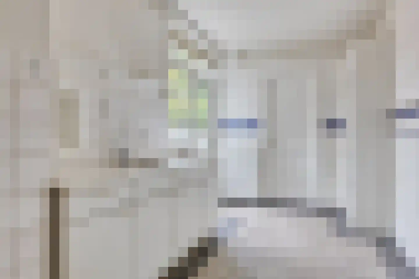 Primulastraat 10 Eindhoven thumbnail 13