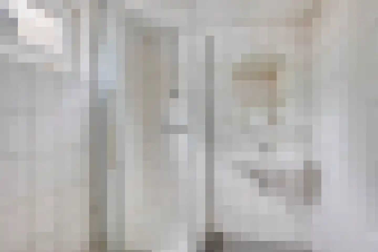 Primulastraat 10 Eindhoven thumbnail 14