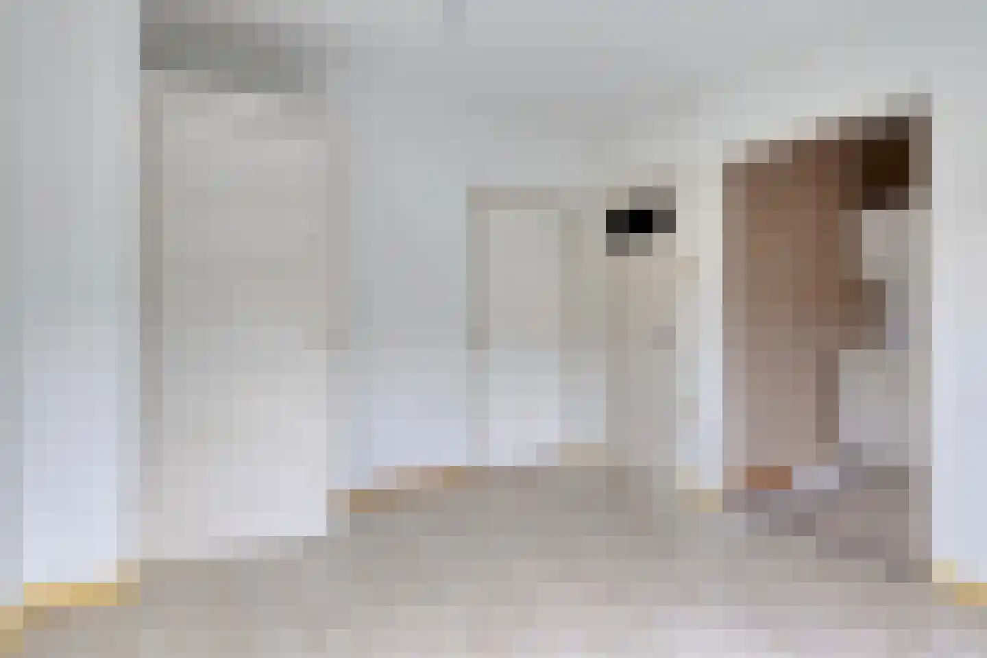 Primulastraat 10 Eindhoven thumbnail 16