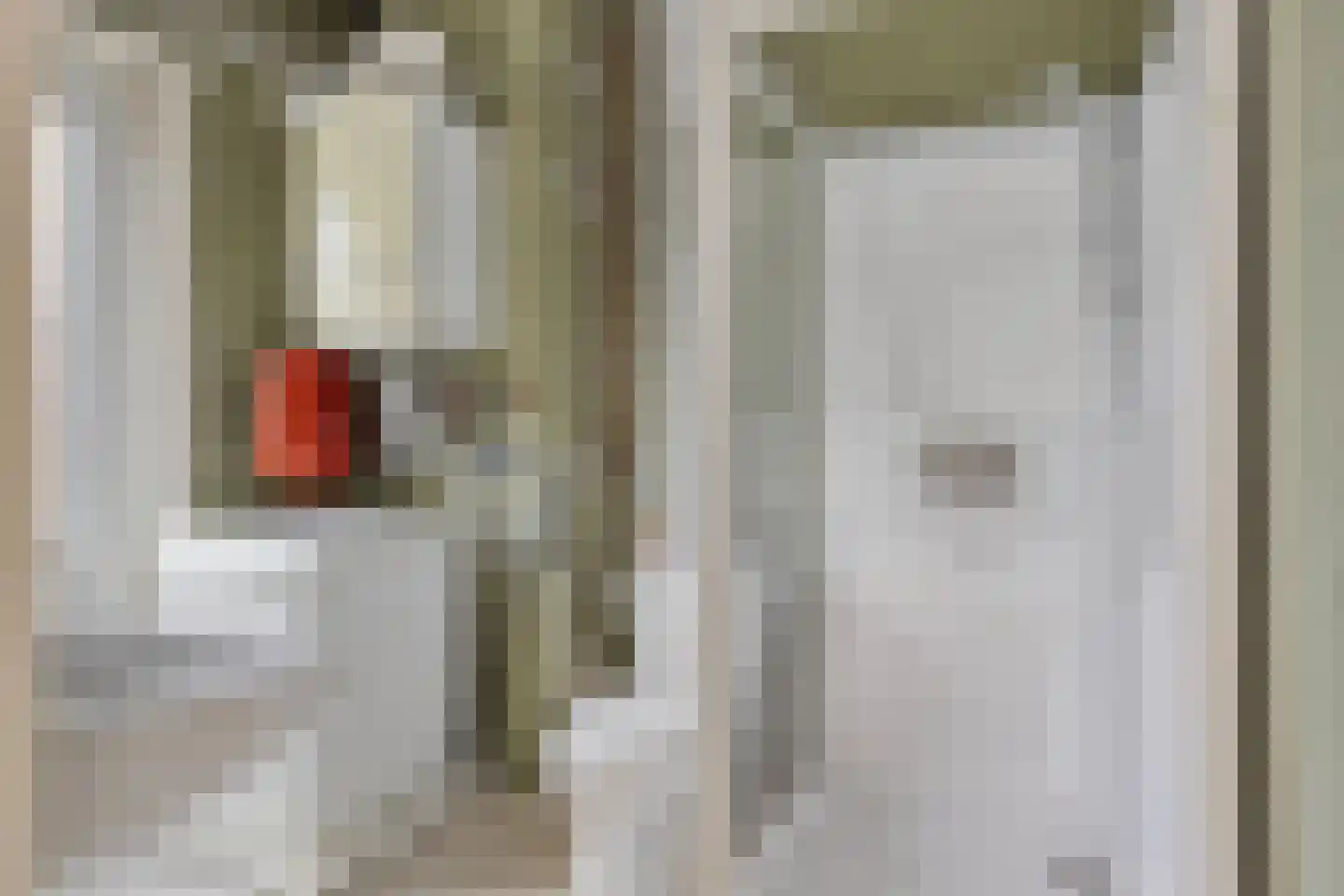 Primulastraat 10 Eindhoven thumbnail 19