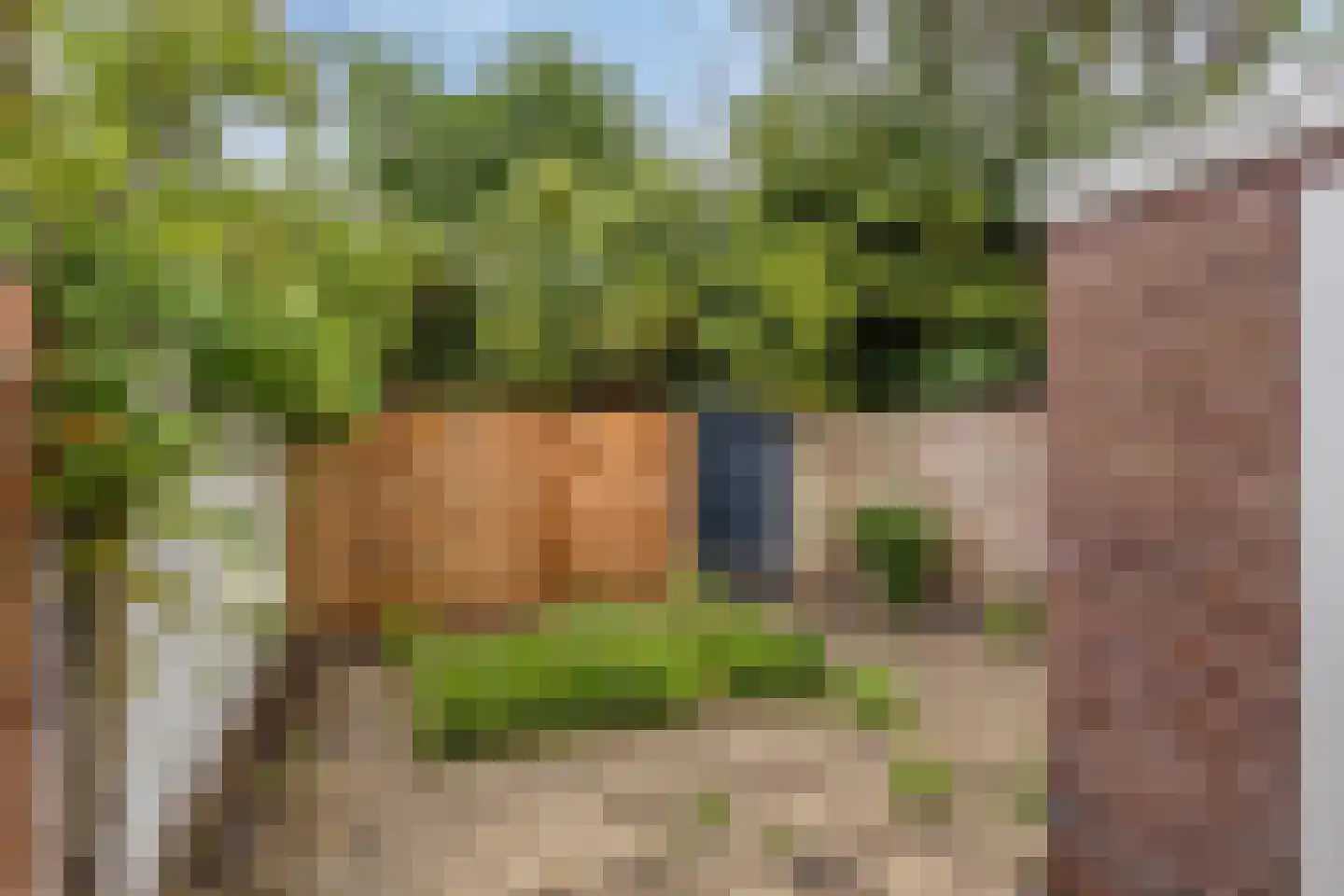 Primulastraat 10 Eindhoven thumbnail 5