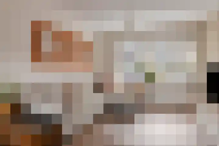 Primulastraat 10 Steenbergen thumbnail 10