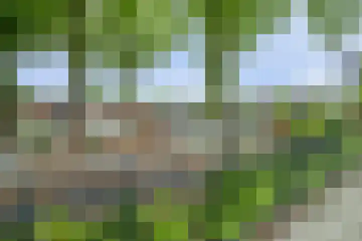 Primulastraat 10 Steenbergen thumbnail 34
