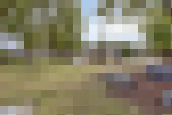 Primulastraat 10 Steenbergen thumbnail 36