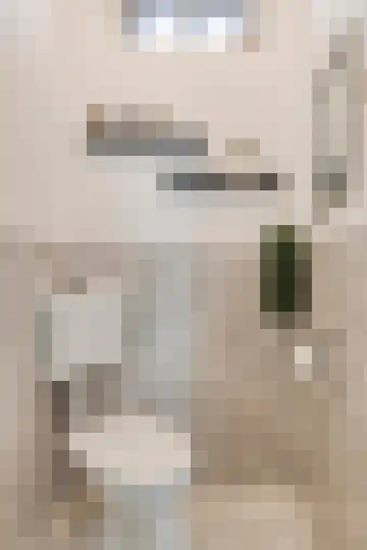 Primulastraat 10 Steenbergen thumbnail 7