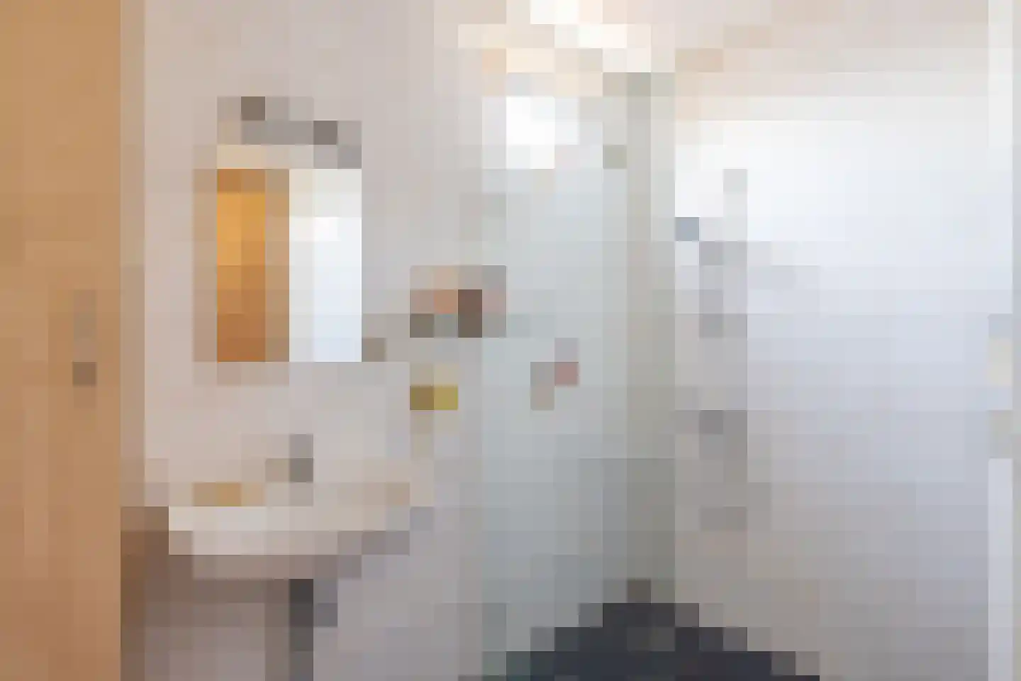 Primulastraat 14 Almelo thumbnail 12