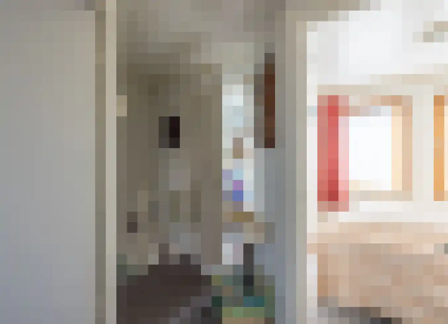 Primulastraat 14 Almelo thumbnail 14