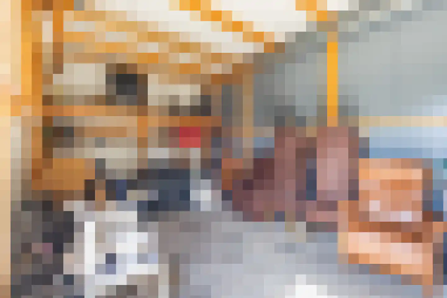 Primulastraat 14 Almelo thumbnail 18