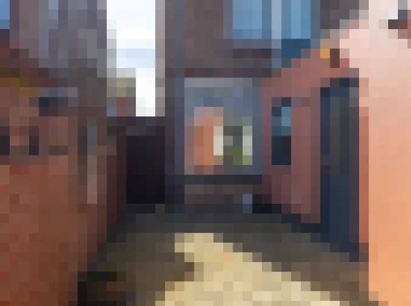 Primulastraat 14 Almelo thumbnail 22