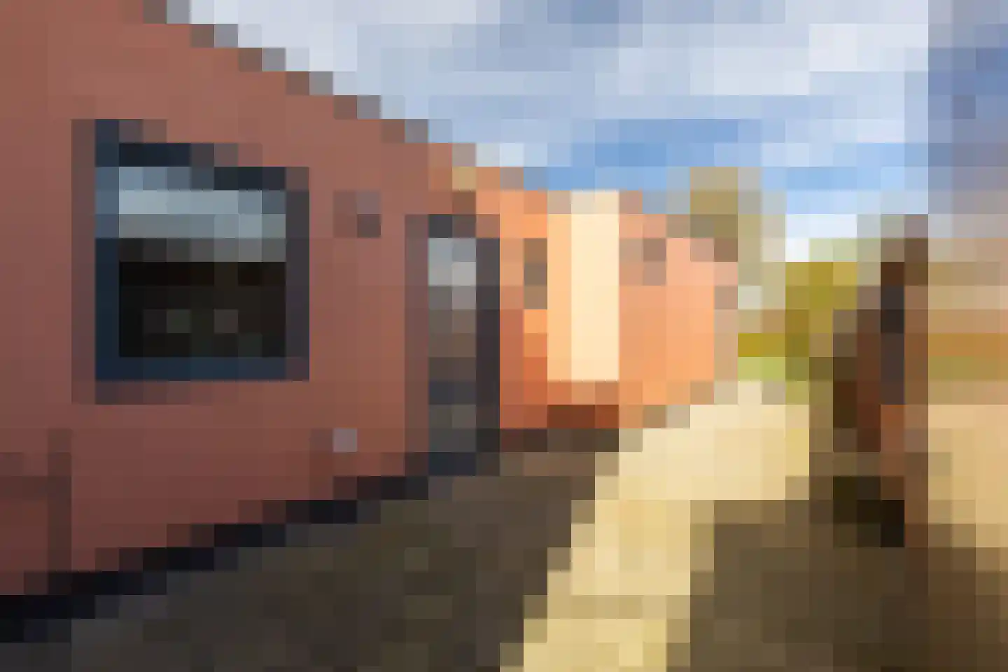 Primulastraat 14 Almelo thumbnail 23