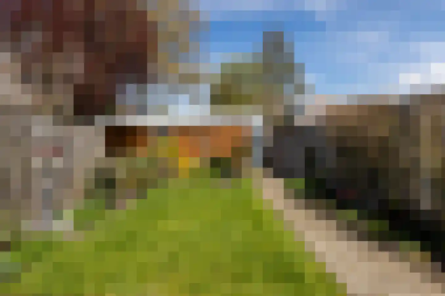 Primulastraat 14 Almelo thumbnail 26
