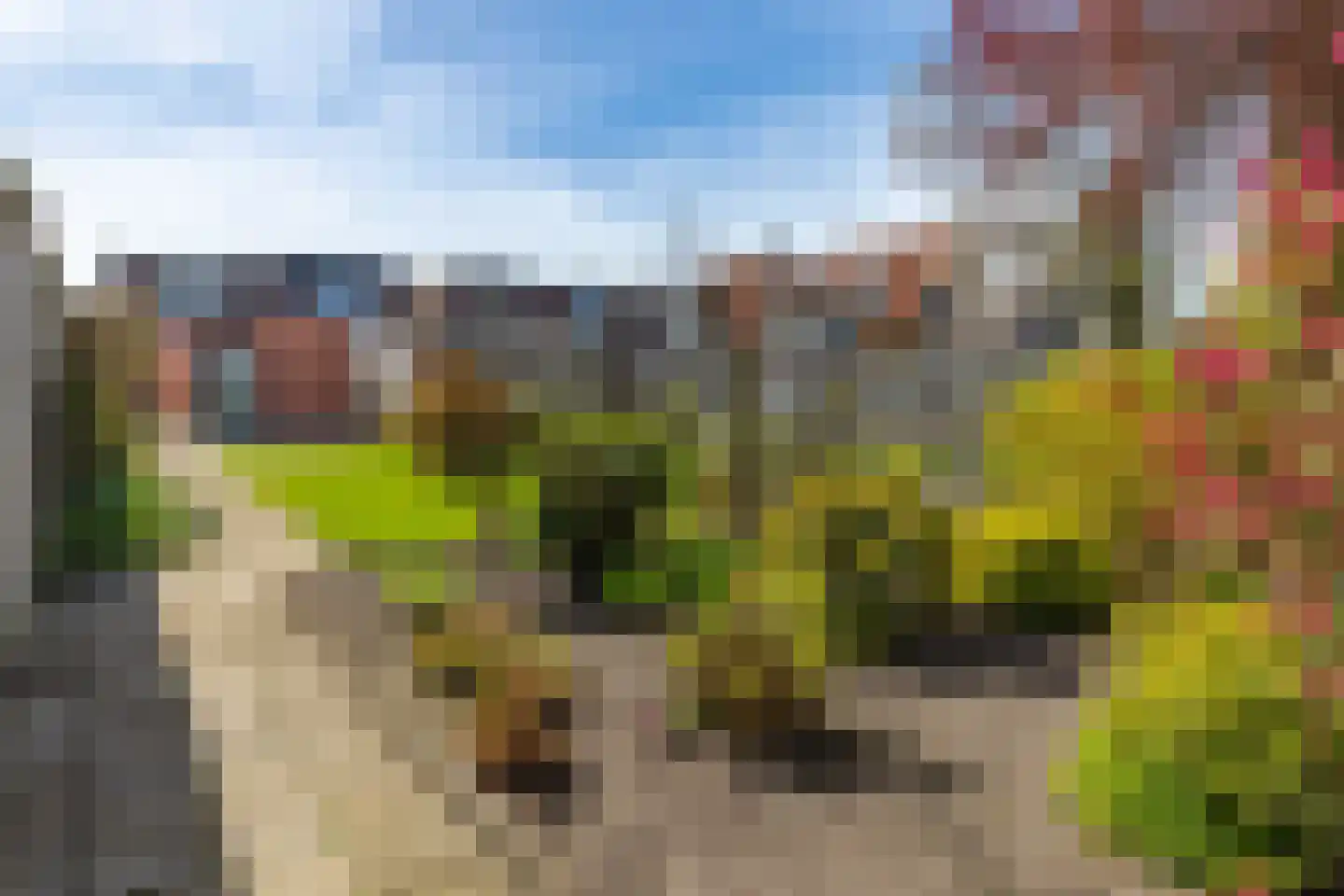 Primulastraat 14 Almelo thumbnail 27