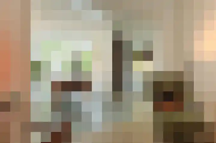 Primulastraat 14 Eindhoven thumbnail 15