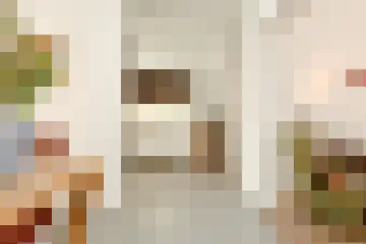 Primulastraat 14 Eindhoven thumbnail 16
