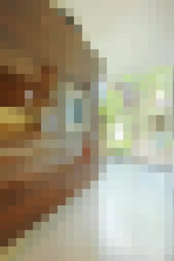 Primulastraat 14 Eindhoven thumbnail 18