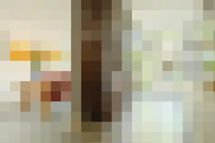 Primulastraat 14 Eindhoven thumbnail 21