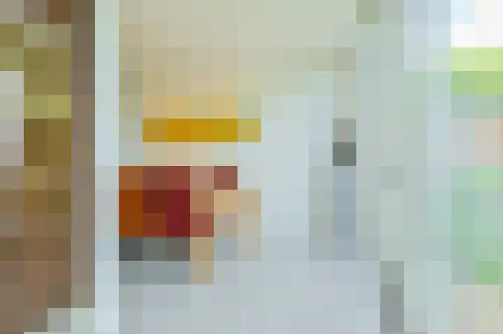 Primulastraat 14 Eindhoven thumbnail 22
