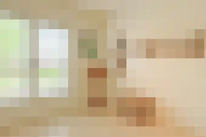 Primulastraat 14 Eindhoven thumbnail 31