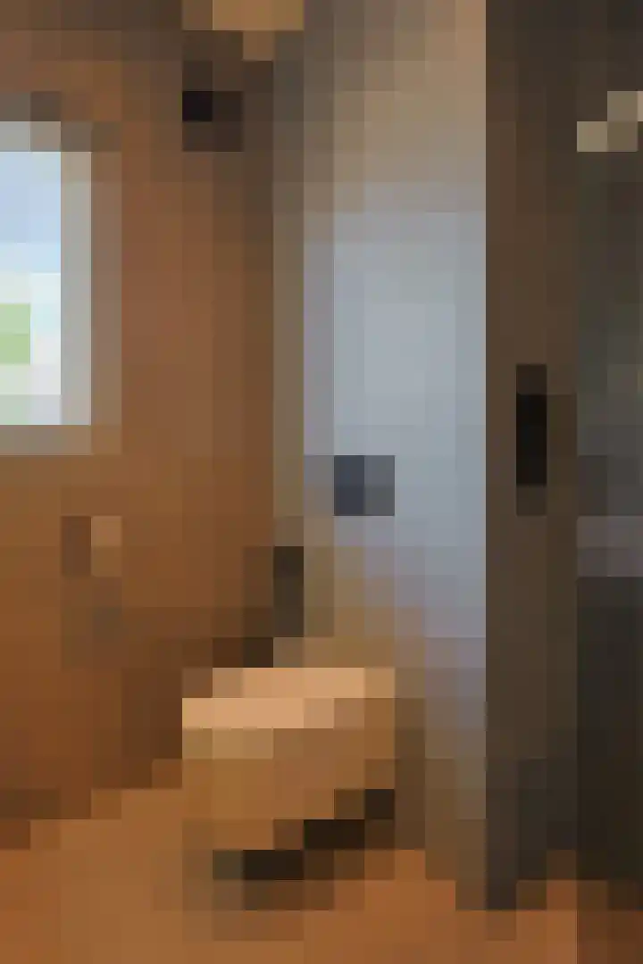Primulastraat 14 Eindhoven thumbnail 38