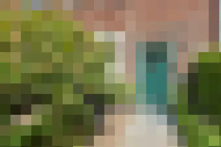 Primulastraat 14 Eindhoven thumbnail 4