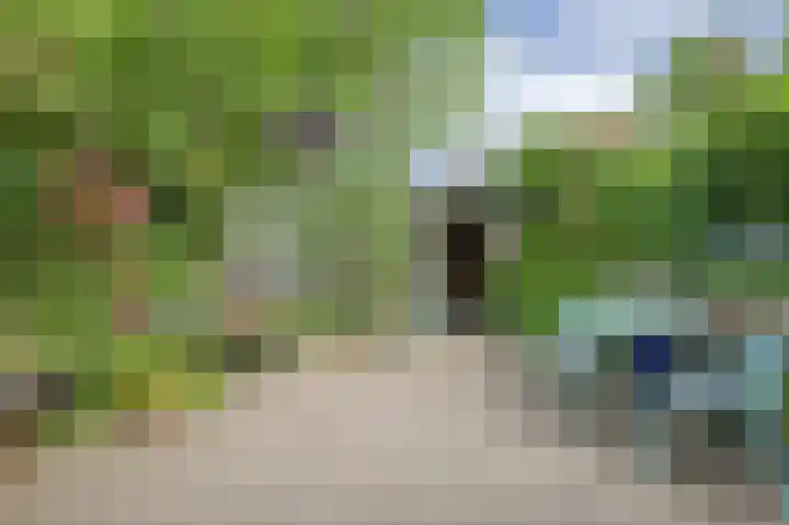 Primulastraat 14 Eindhoven thumbnail 47