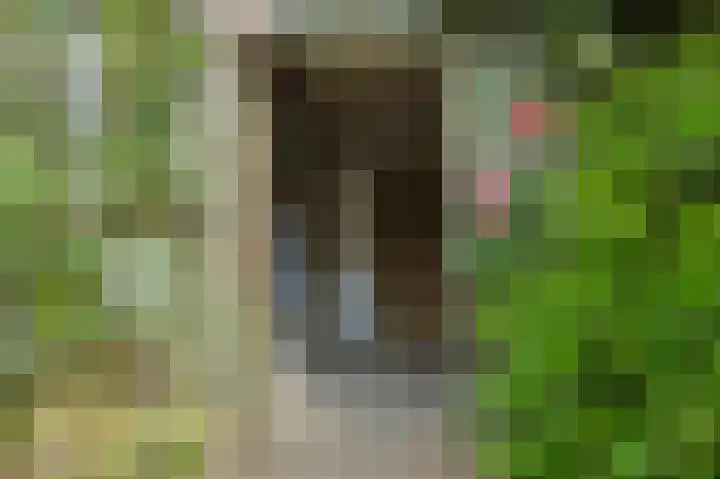 Primulastraat 14 Eindhoven thumbnail 51