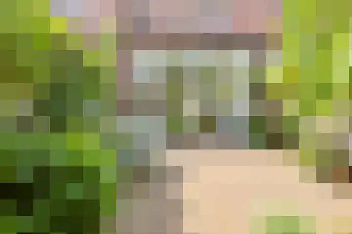Primulastraat 14 Eindhoven thumbnail 52