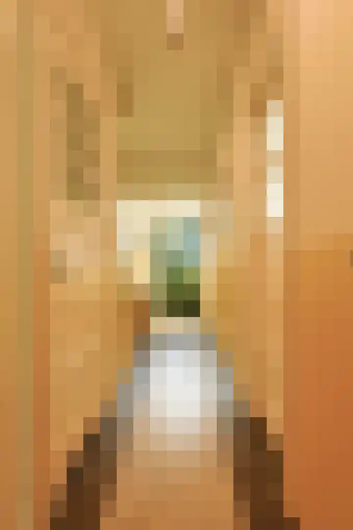 Primulastraat 14 Eindhoven thumbnail 6