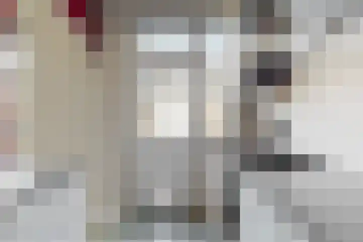 Primulastraat 14 Woerden thumbnail 11