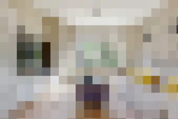 Primulastraat 14 Woerden thumbnail 7