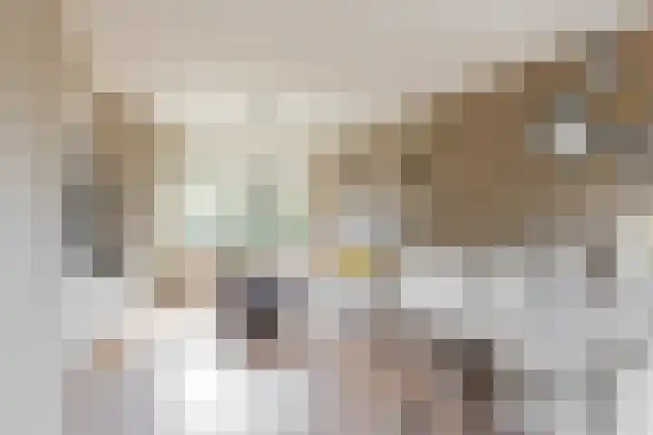 Primulastraat 14 Woerden thumbnail 8