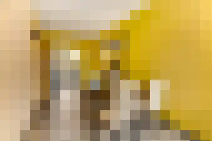 Primulastraat 16 Barneveld thumbnail 16