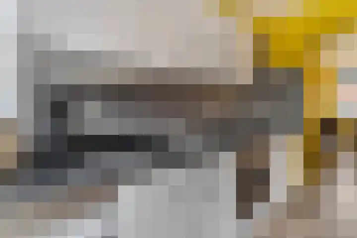 Primulastraat 16 Barneveld thumbnail 19
