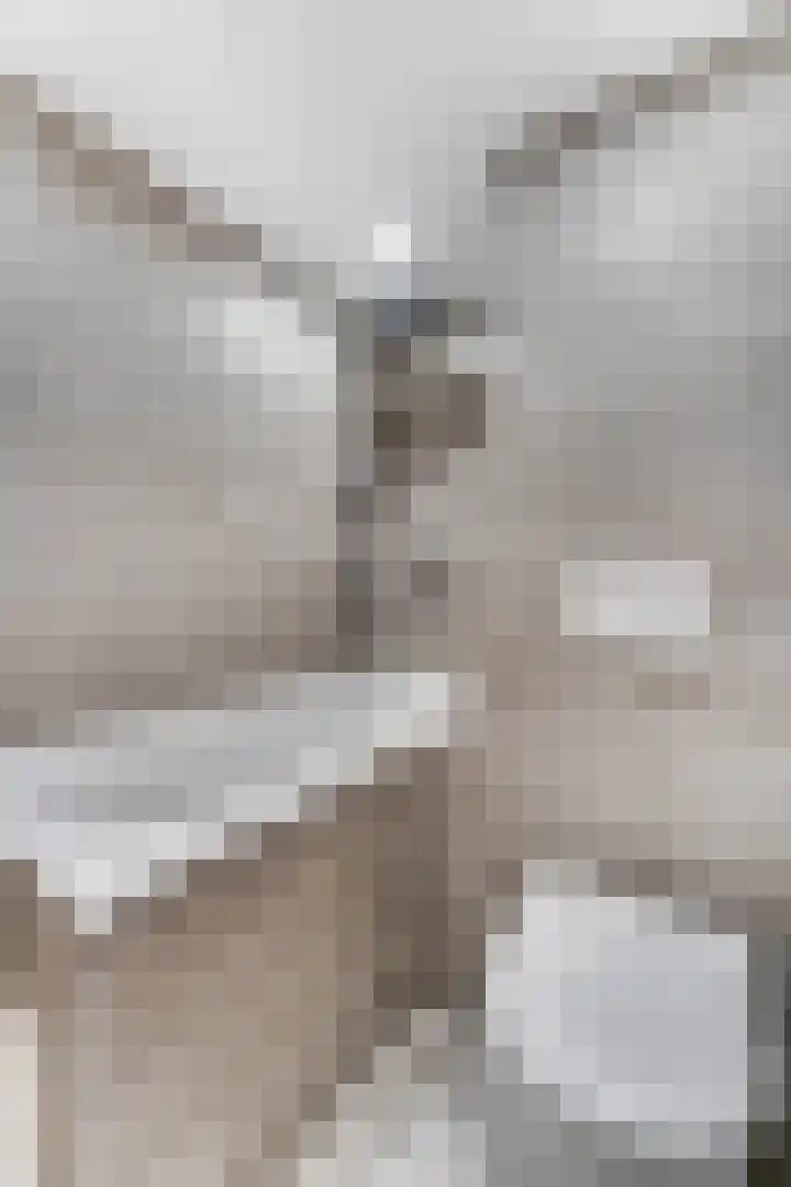 Primulastraat 16 Barneveld thumbnail 31