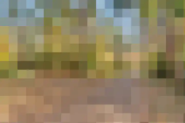 Primulastraat 2 Hilversum thumbnail 24