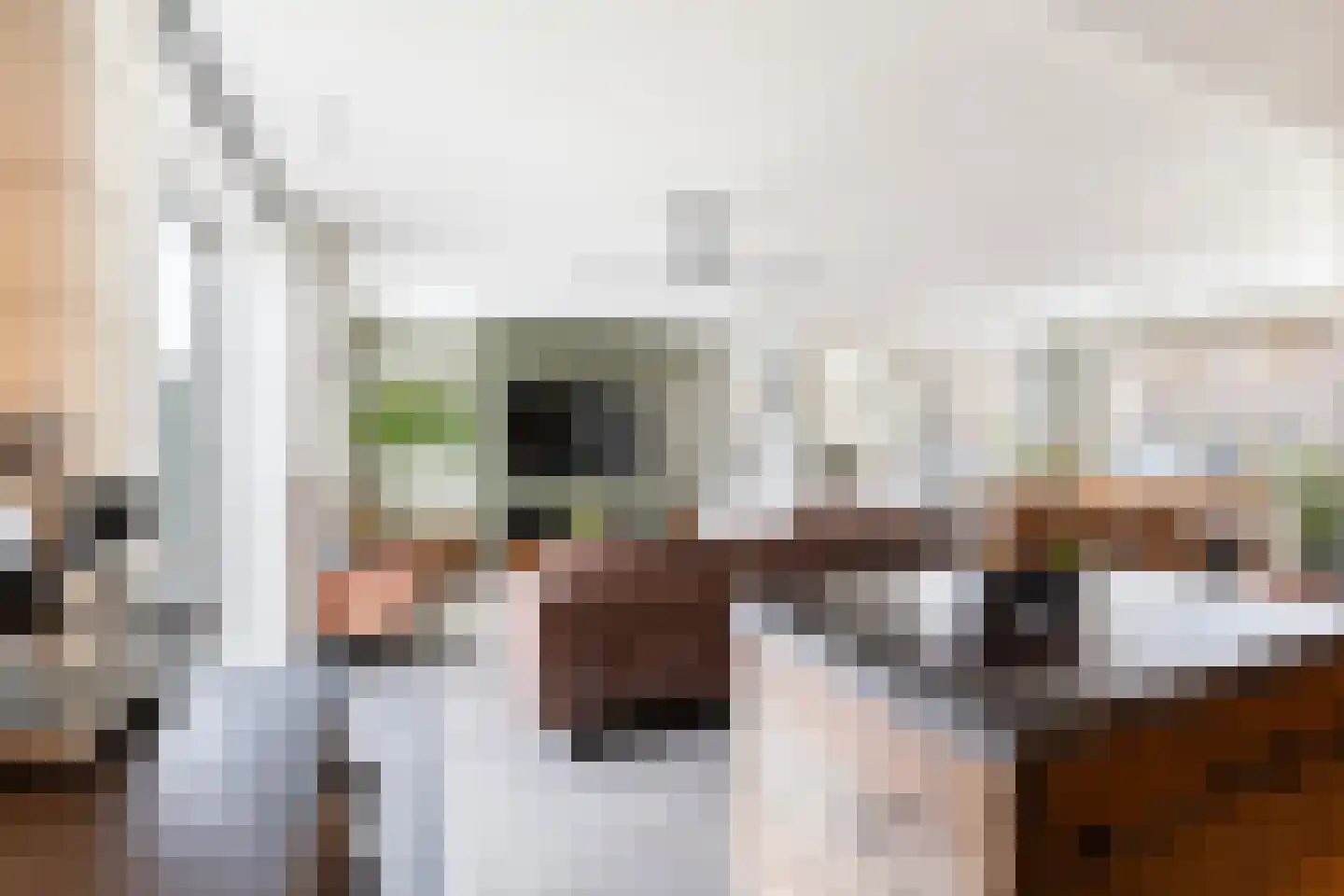 Primulastraat 20 Woerden thumbnail 15