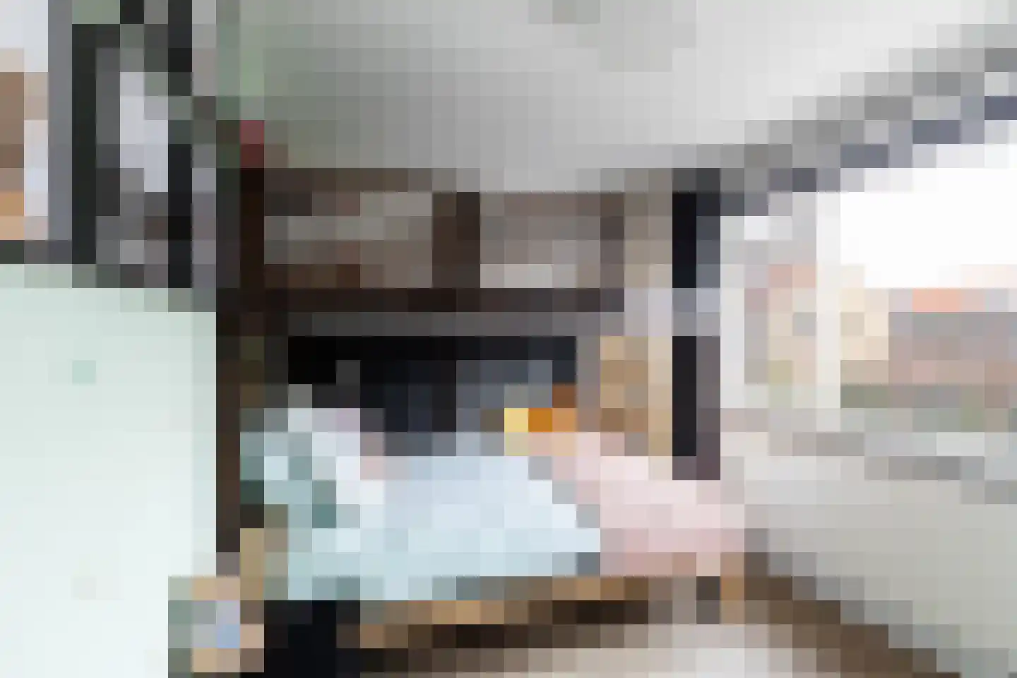 Primulastraat 20 Woerden thumbnail 23
