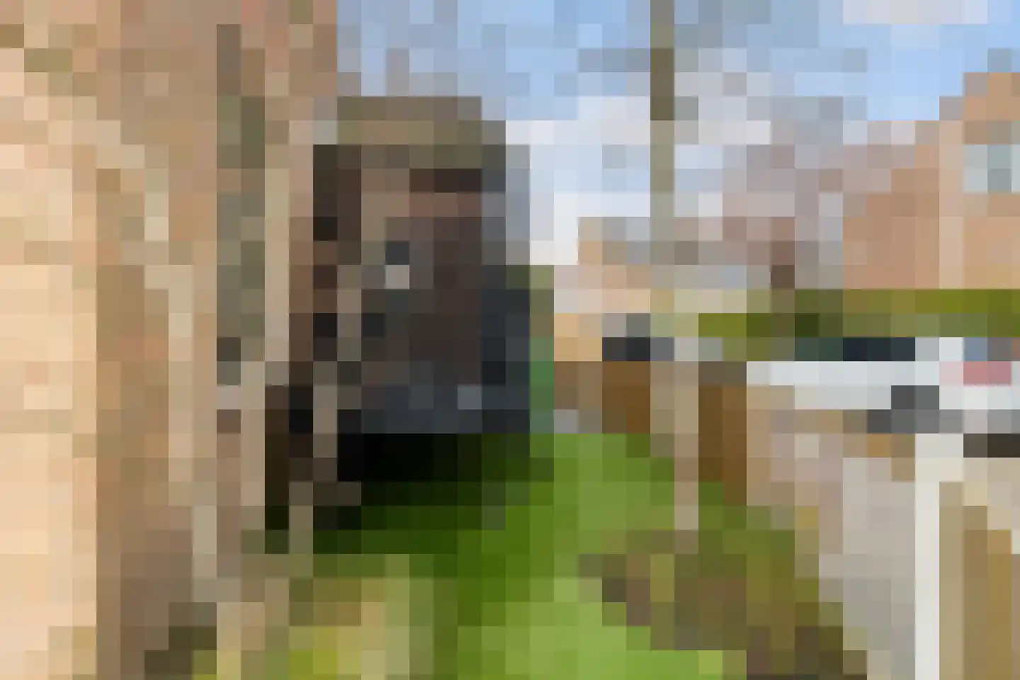 Primulastraat 20 Woerden thumbnail 43