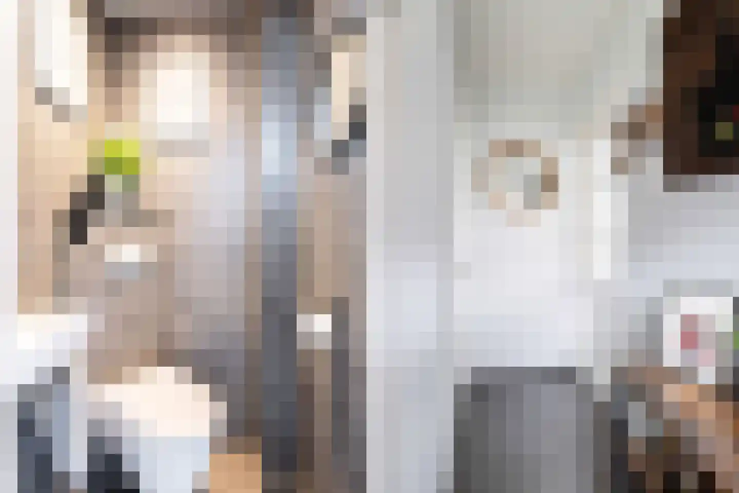 Primulastraat 20 Woerden thumbnail 5