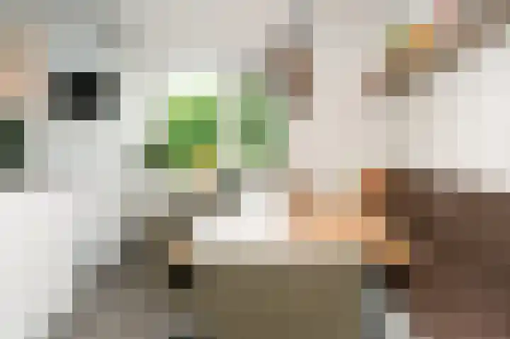 Primulastraat 20 Zwolle thumbnail 13