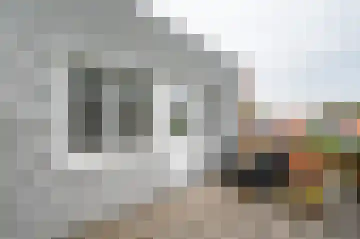 Primulastraat 20 Zwolle thumbnail 37