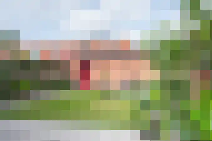 Primulastraat 20 Zwolle thumbnail 8