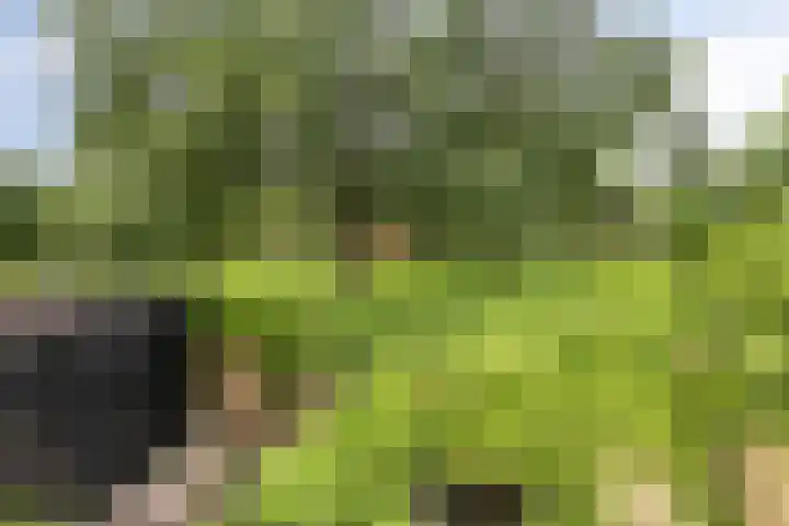 Primulastraat 21 Purmerend thumbnail 31