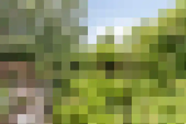 Primulastraat 21 Purmerend thumbnail 32