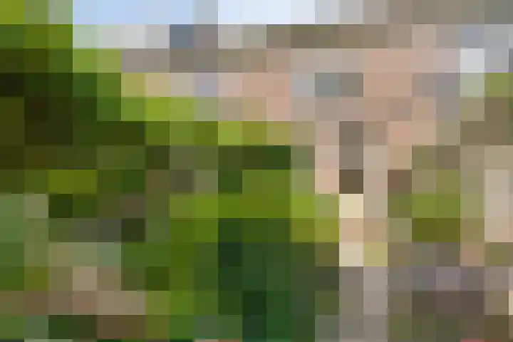 Primulastraat 21 Purmerend thumbnail 35