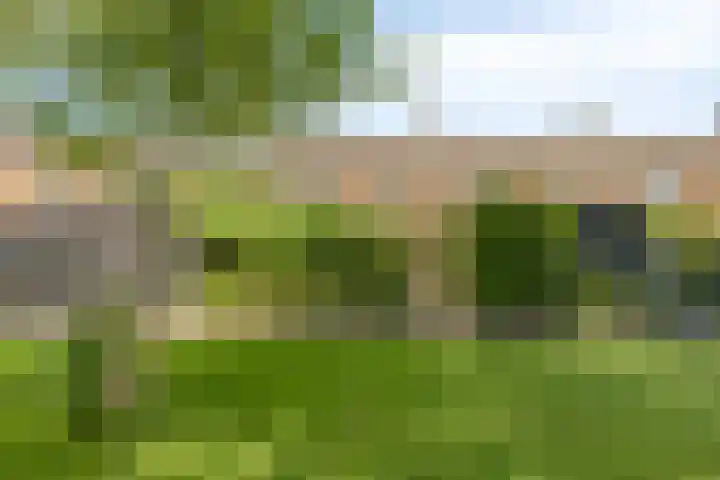 Primulastraat 21 Purmerend thumbnail 36