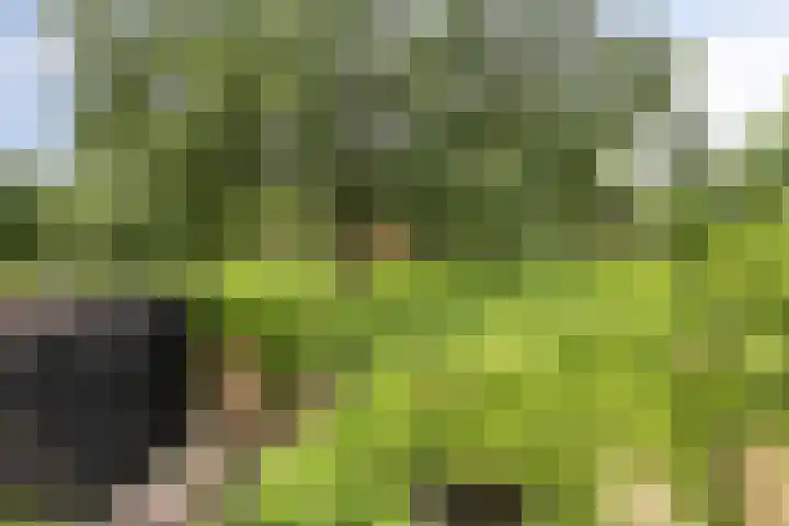 Primulastraat 21 Purmerend thumbnail 4