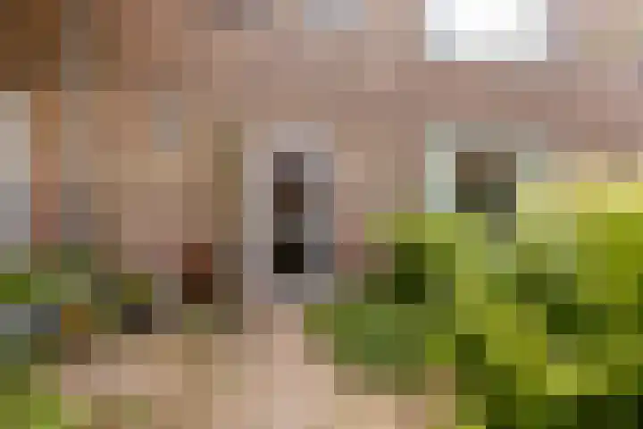 Primulastraat 21 Purmerend thumbnail 6