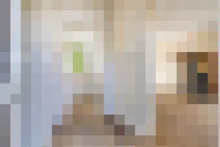 Primulastraat 21 Purmerend thumbnail 9