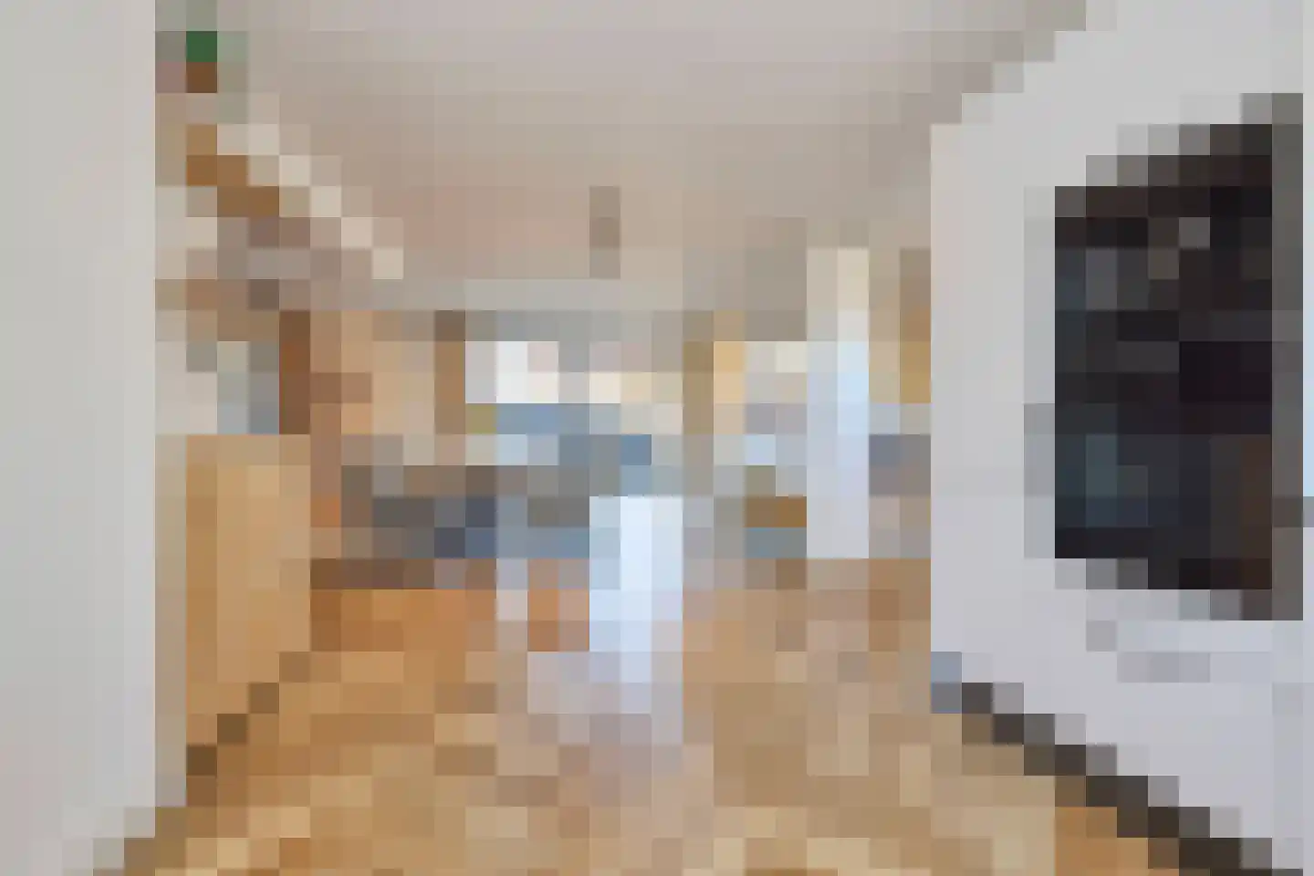 Primulastraat 22 Purmerend thumbnail 16